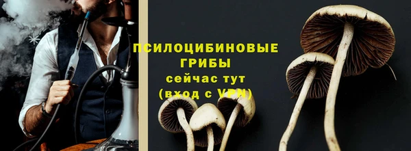 не бодяженный Аркадак