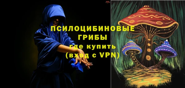 трава Армянск