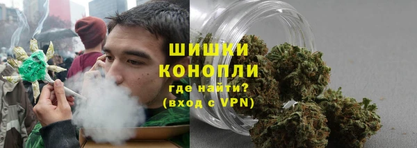 трава Армянск