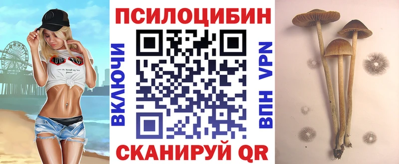 Псилоцибиновые грибы ЛСД  Купить  Сухиничи 